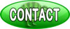 Cotact Kiwi Personalised Tours