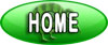 Kiwi Personalised Tours home page