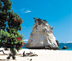 Cathedral Cove, Coromandel
